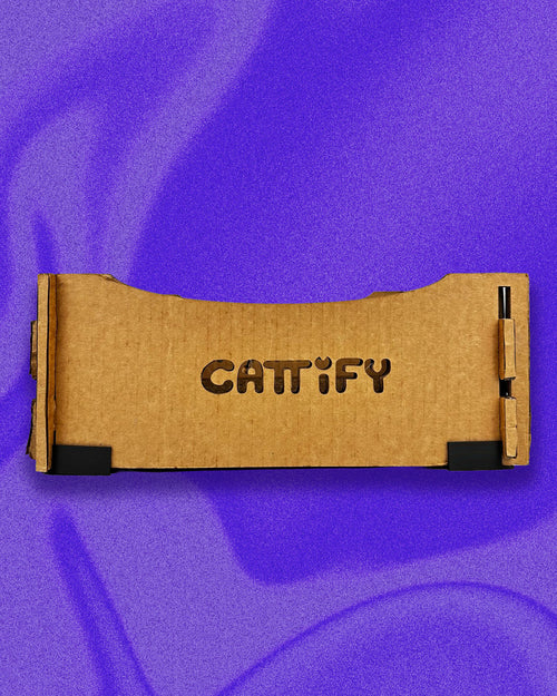 Cattify Cardboard Cat Scratcher — Lounge Box