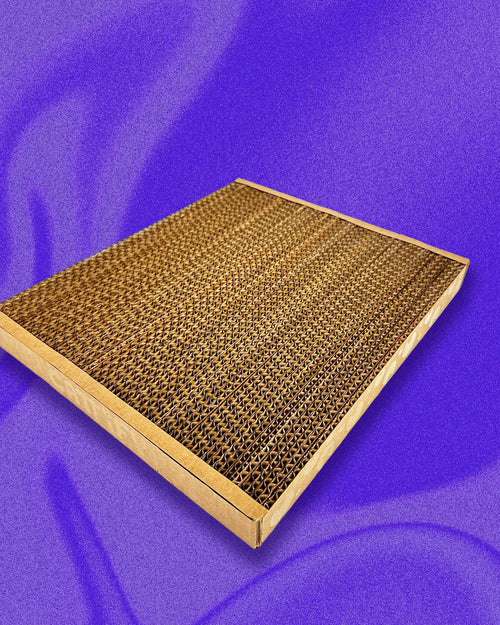 Cattify Cardboard Cat Scratcher — Lounge Box
