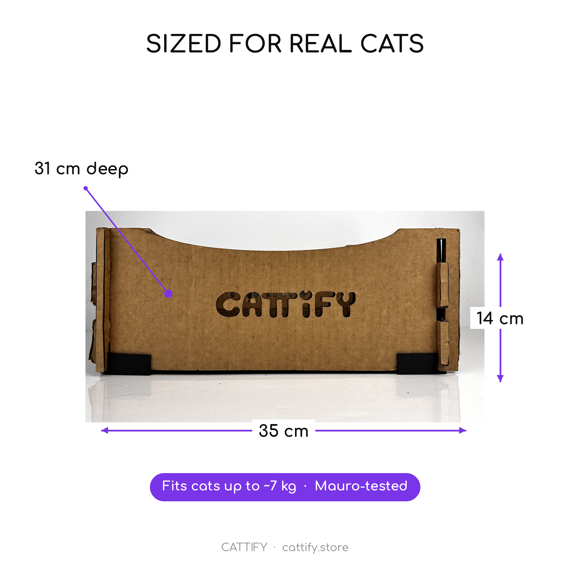 Cattify Cardboard Cat Scratcher — Lounge Box