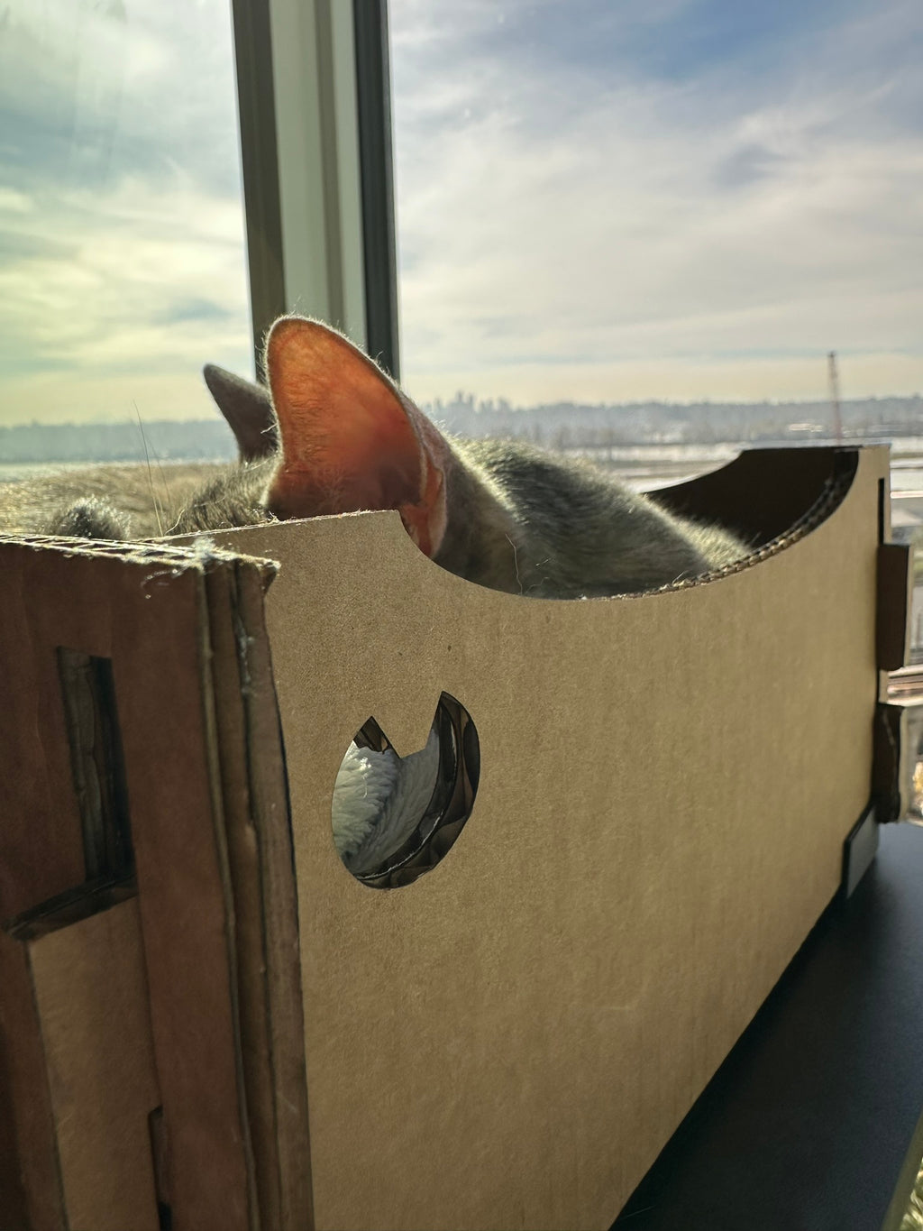 Cattify Cardboard Cat Scratcher — Lounge Box