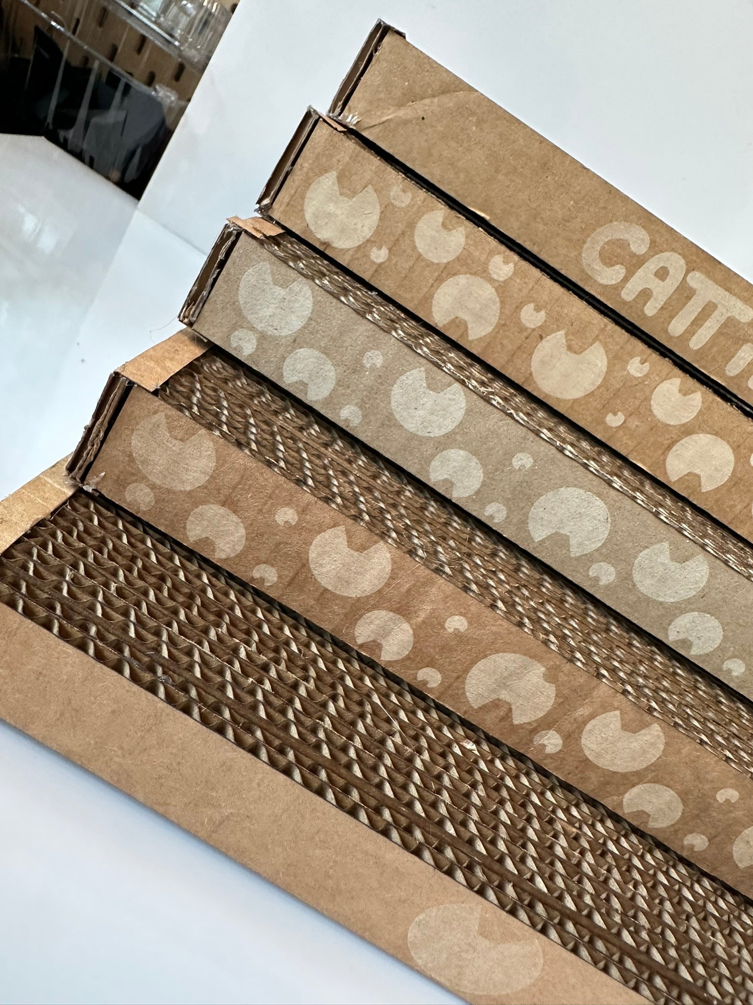 Cattify Cardboard Cat Scratcher — Lounge Box