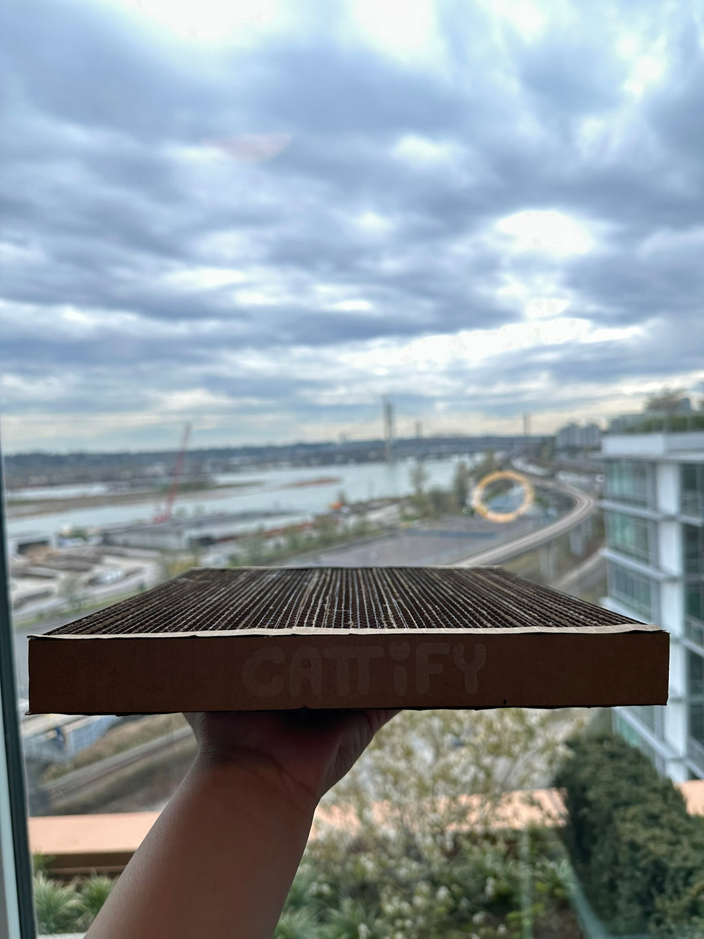 Cattify Cardboard Cat Scratcher — Lounge Box