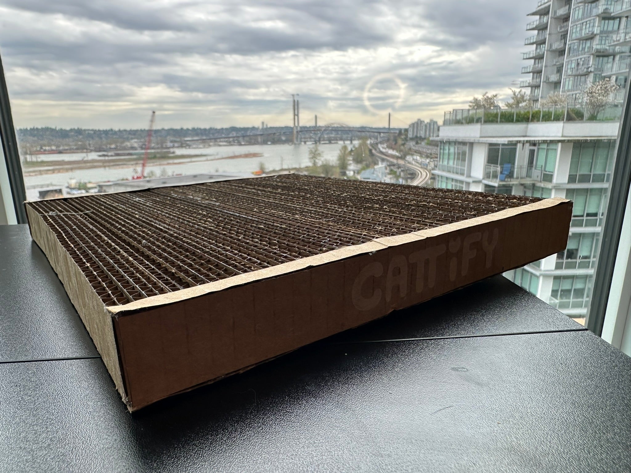 Cattify Cardboard Cat Scratcher — Lounge Box