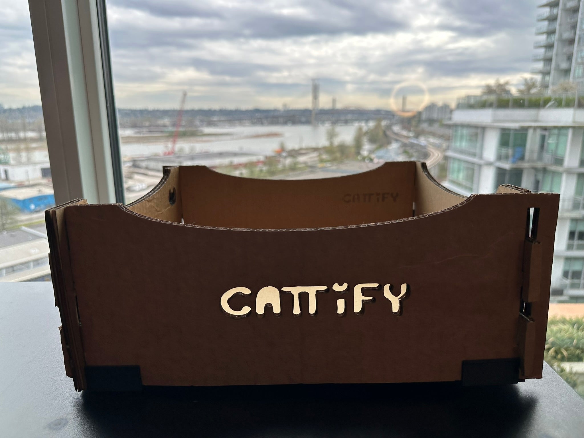 Cattify Cardboard Cat Scratcher — Lounge Box