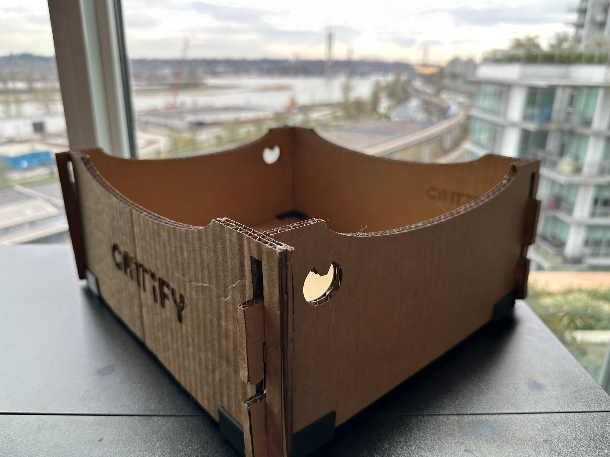 Cattify Cardboard Cat Scratcher — Lounge Box
