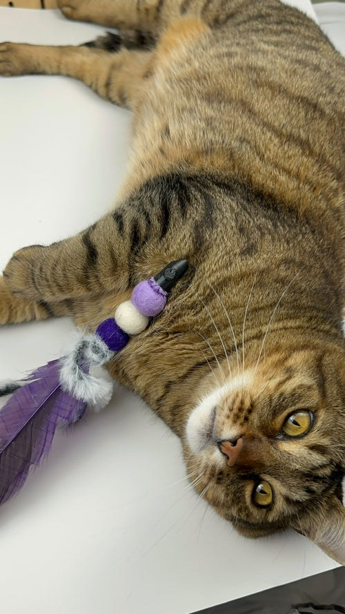 Handmade Cat Wand Bundle — Wand + 3 Interchangeable Lures