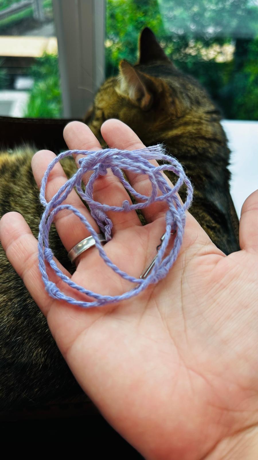 Cattify Cat Wand Bundle — Handmade Wand + 5 Interchangeable Lures