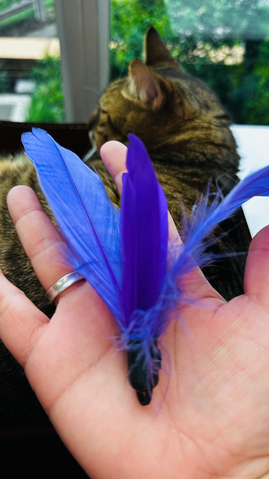 Cattify Cat Wand Bundle — Handmade Wand + 5 Interchangeable Lures