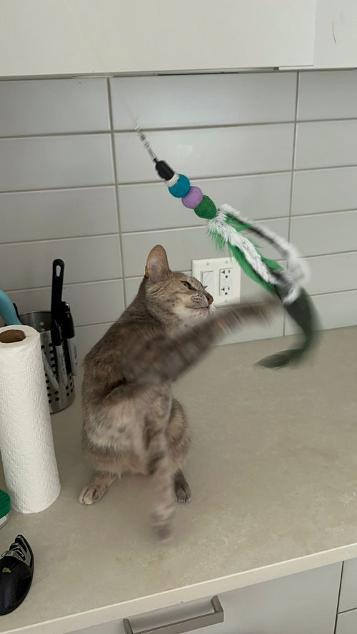 Handmade Cat Wand Bundle — Wand + 3 Interchangeable Lures