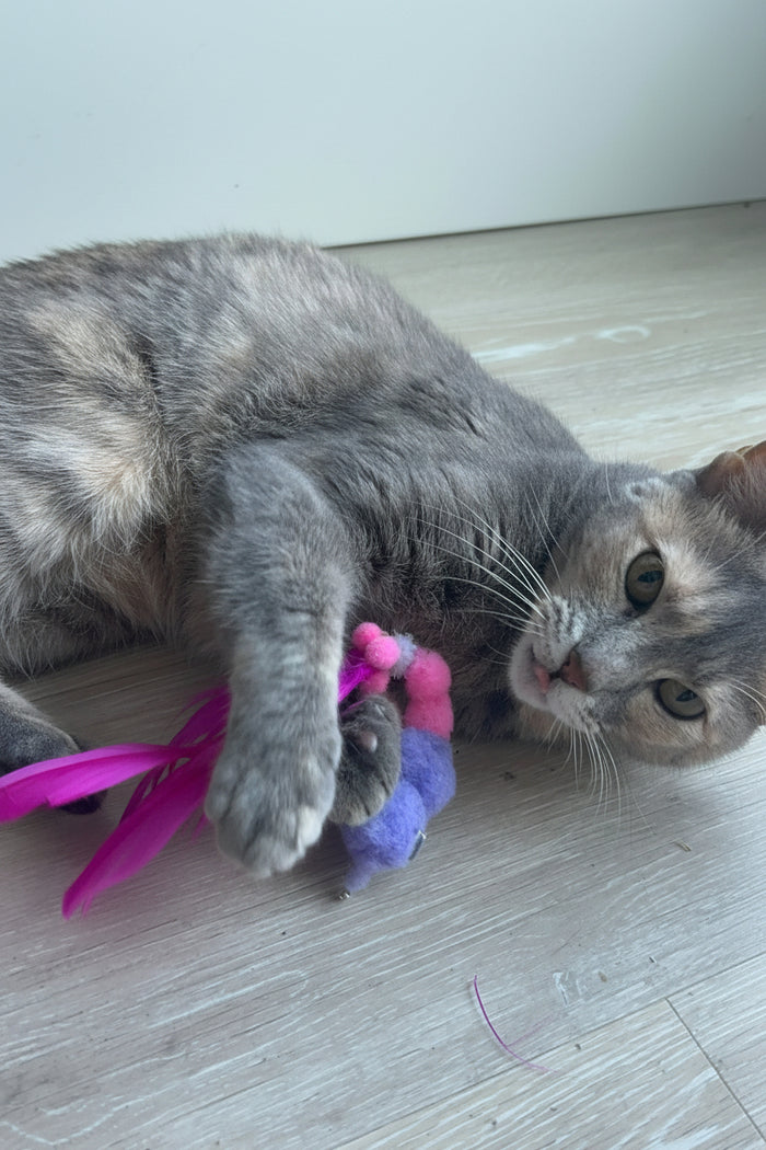 Real cats. Real play.