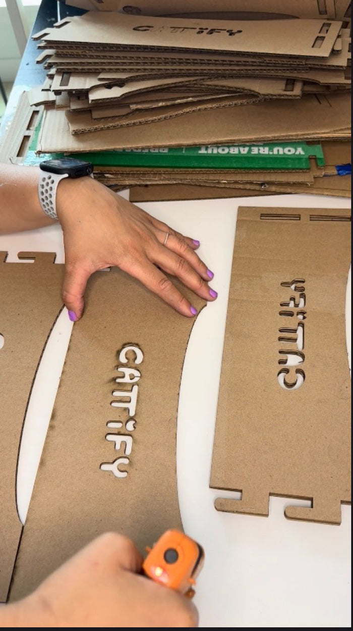 Behind the scenes at Cattify.