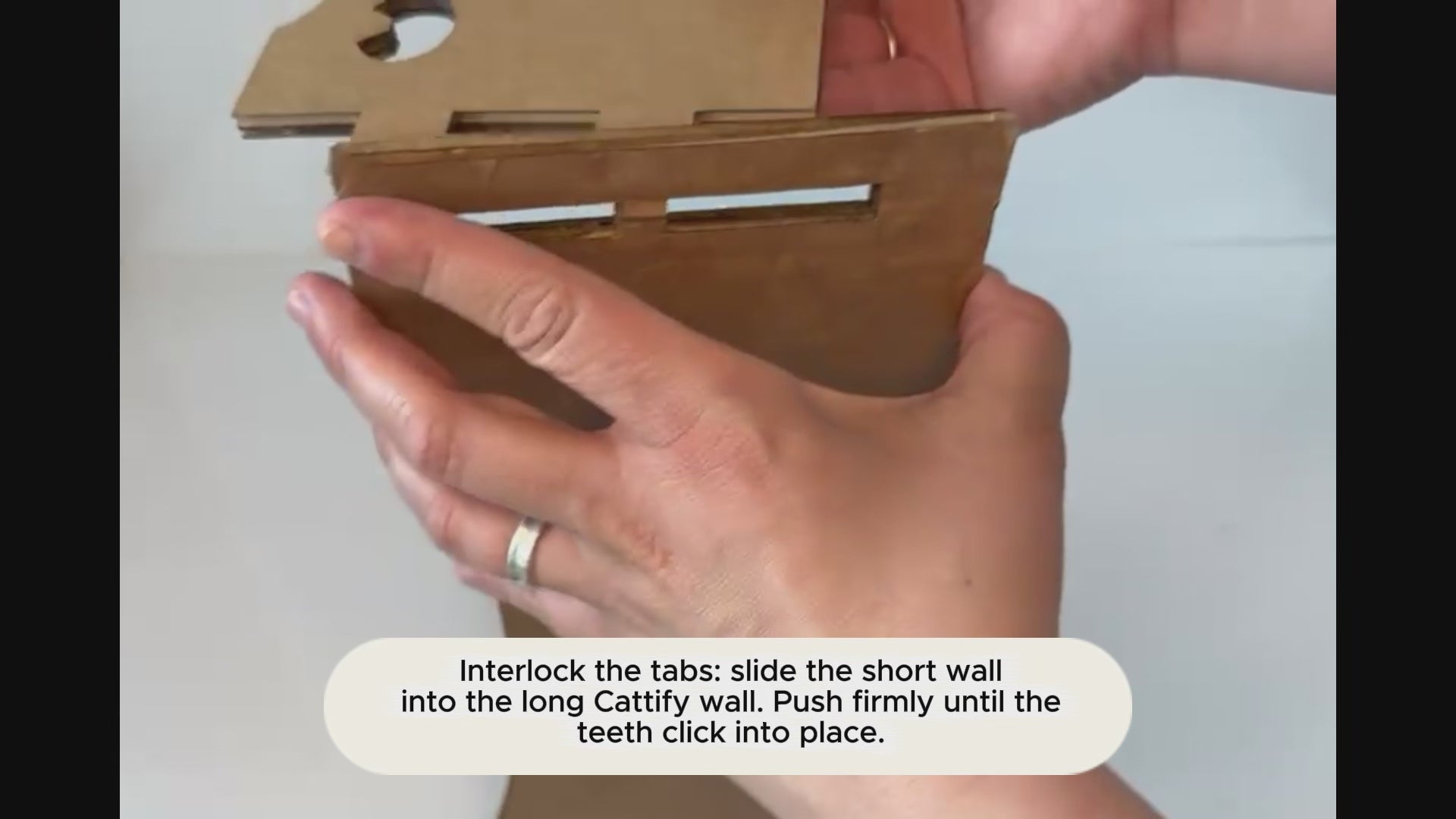 Cattify Cardboard Cat Scratcher — Lounge Box