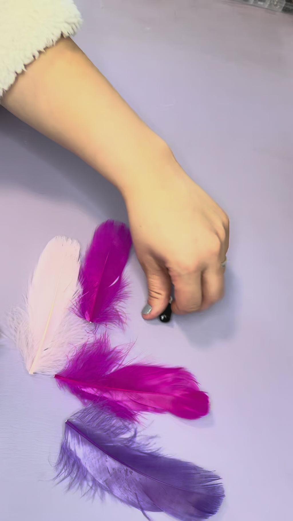Cattify Cat Wand Bundle — Handmade Wand + 5 Interchangeable Lures