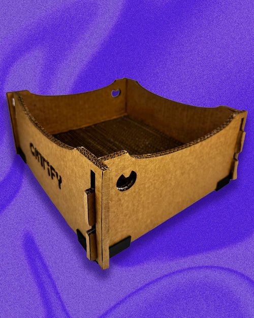 Cattify Cardboard Cat Scratcher — Lounge Box